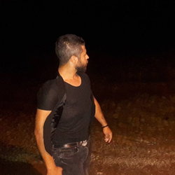 Bulut