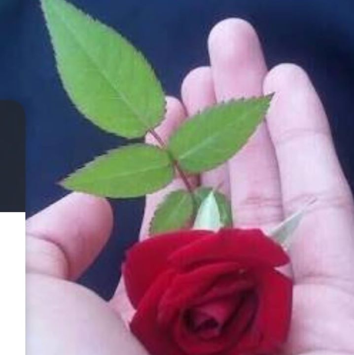 Jaiss