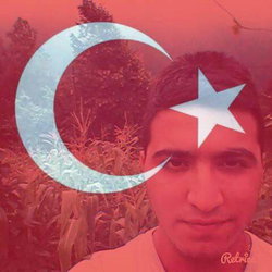 Barış