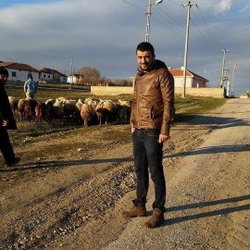 Mevlüt