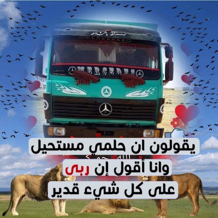 علاء