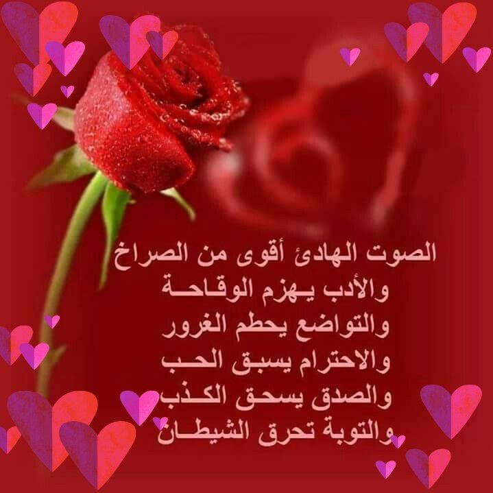 ابومحمود