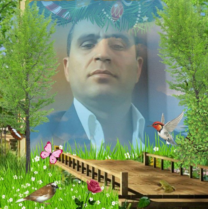 Diyadin