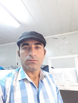Mehmetşah