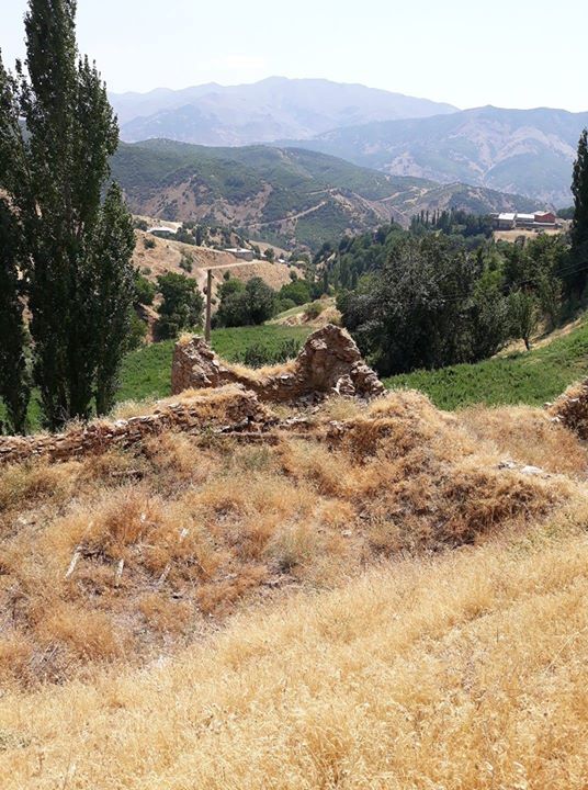 Mücahit