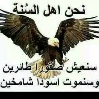 أبو