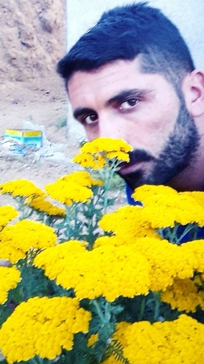 Sedat