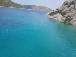Aysegul