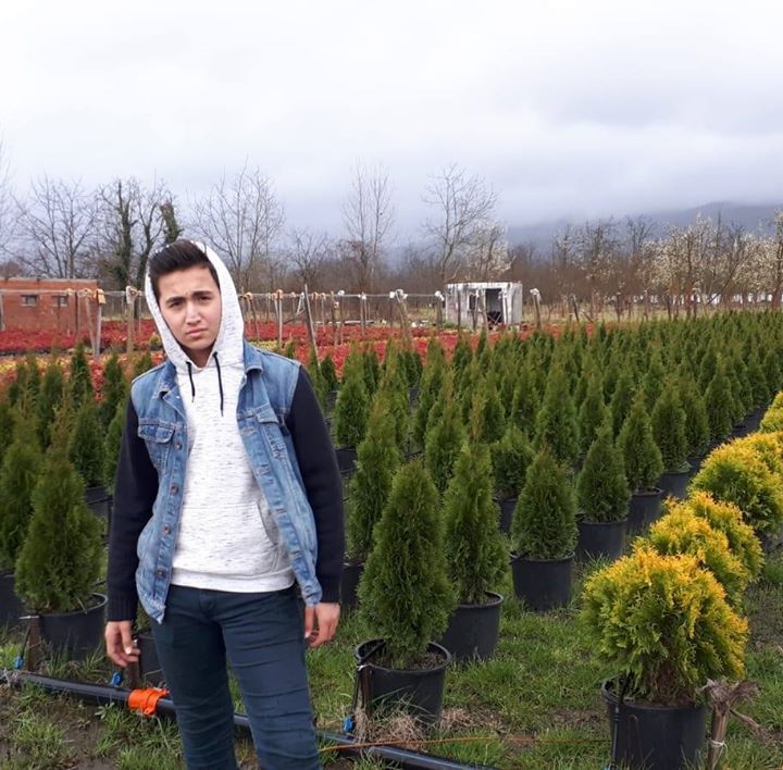 İsmail