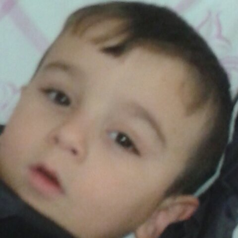 محمد