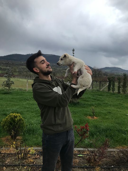 Barış
