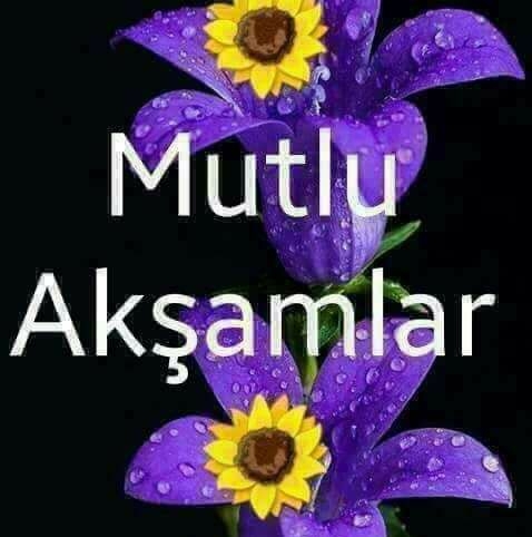 Veysel