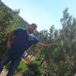 Ceylan