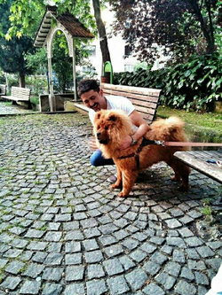 Murat
