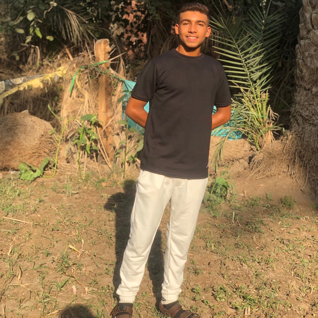 عمرو