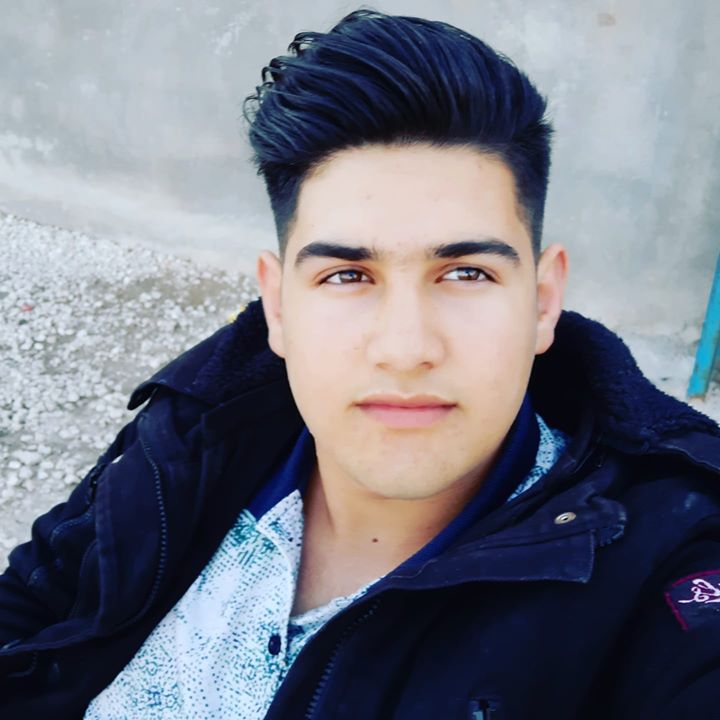 Habeş