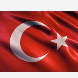 Mücahit