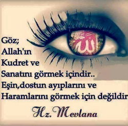 Nese