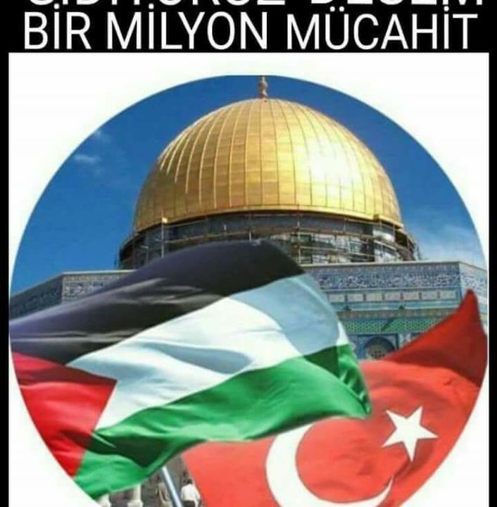 M Reşit