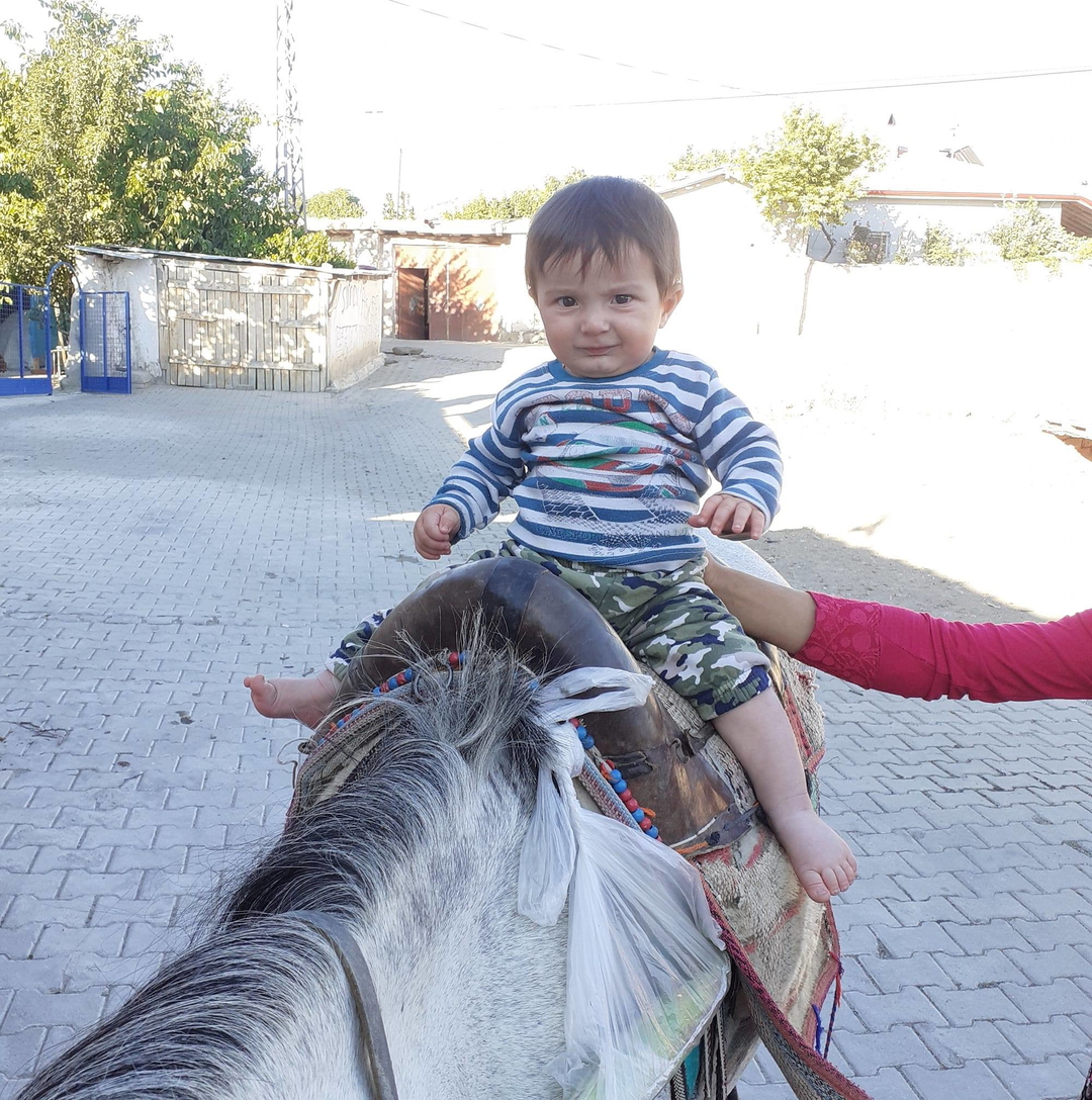 Harun