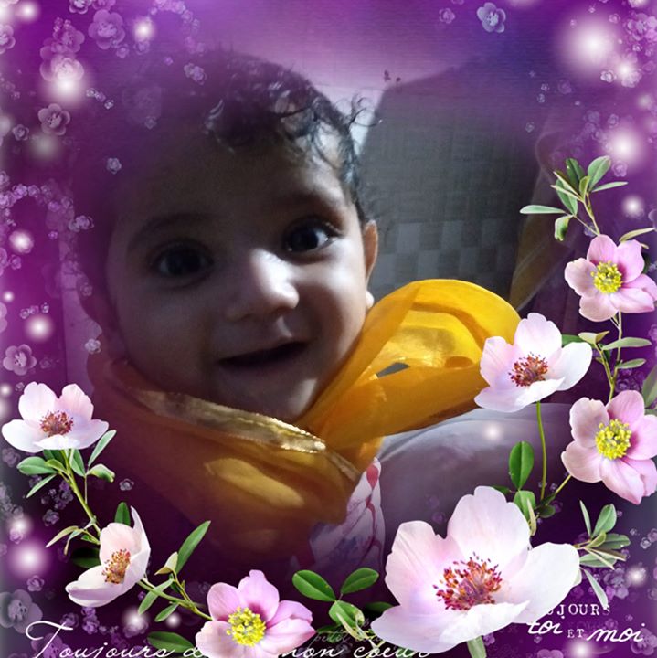 Anil