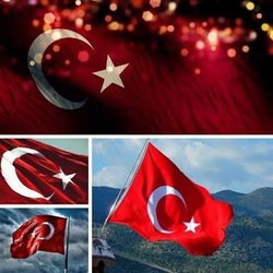Murat