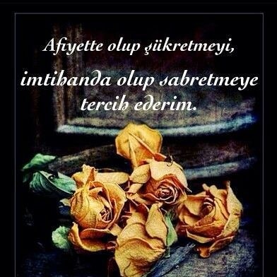 Aysun