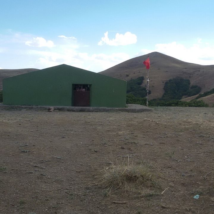 Elkan