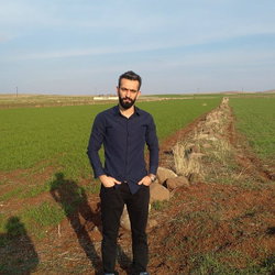 Şahin