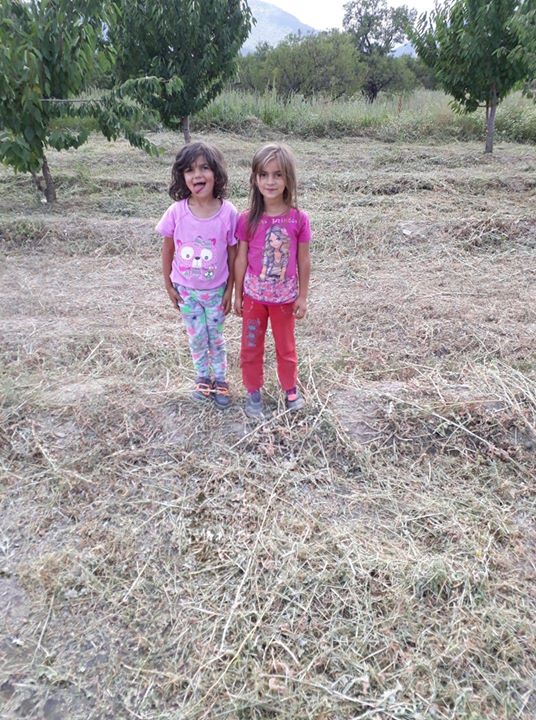 Ceylan