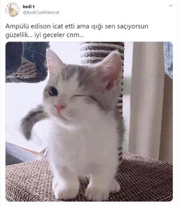 Ecrin
