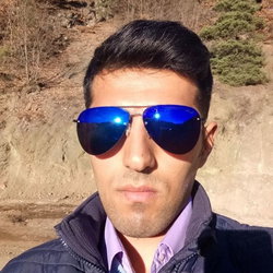 Doğan