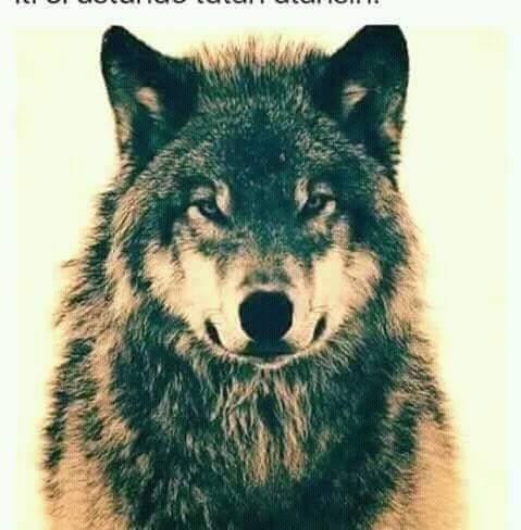 Vatan