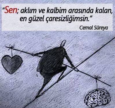 Ozan
