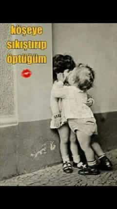 Asil