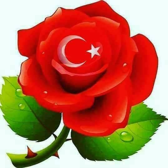 Bekir