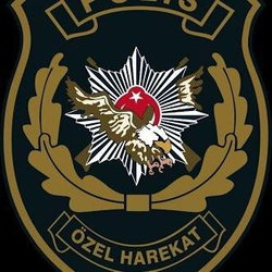 Yiğit