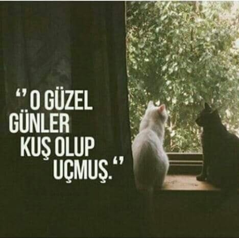 Gizem