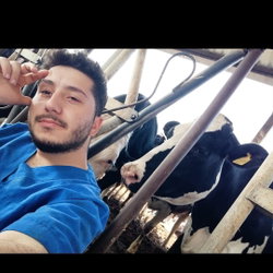 Halil