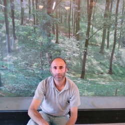 Sayim