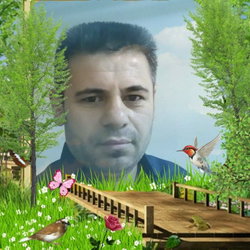 Ilyas