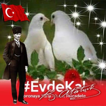 Ayşe