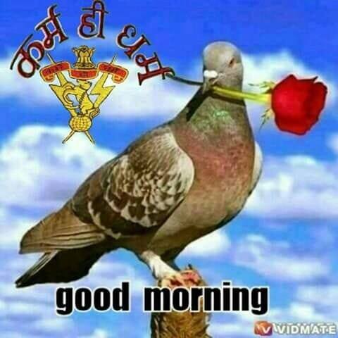 Arvind