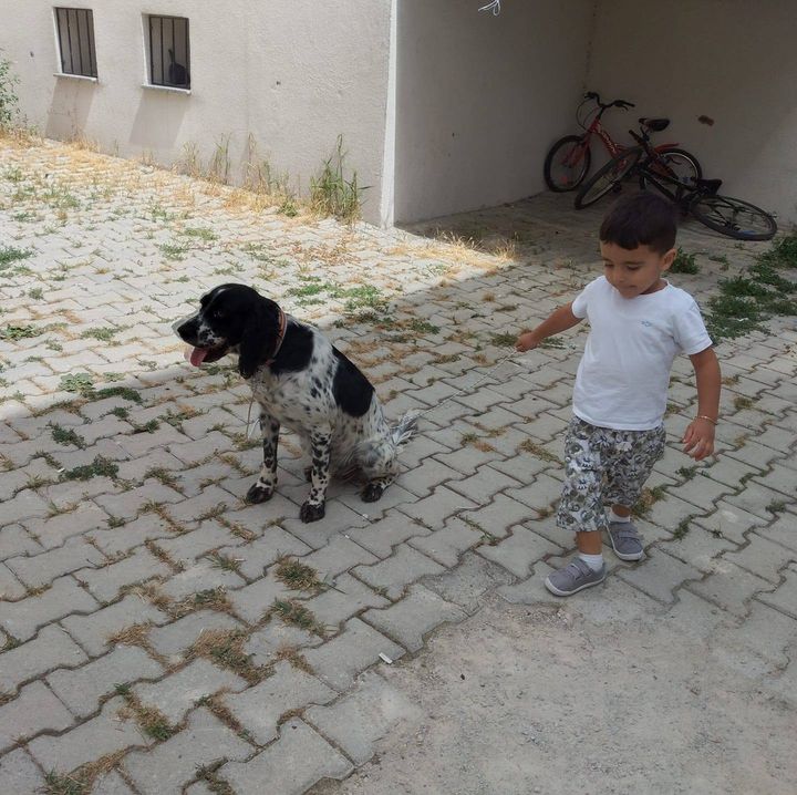 Muharrem