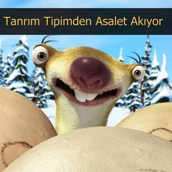 Cem