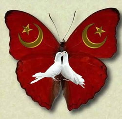 Konya