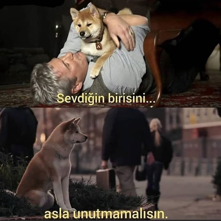 Savaş