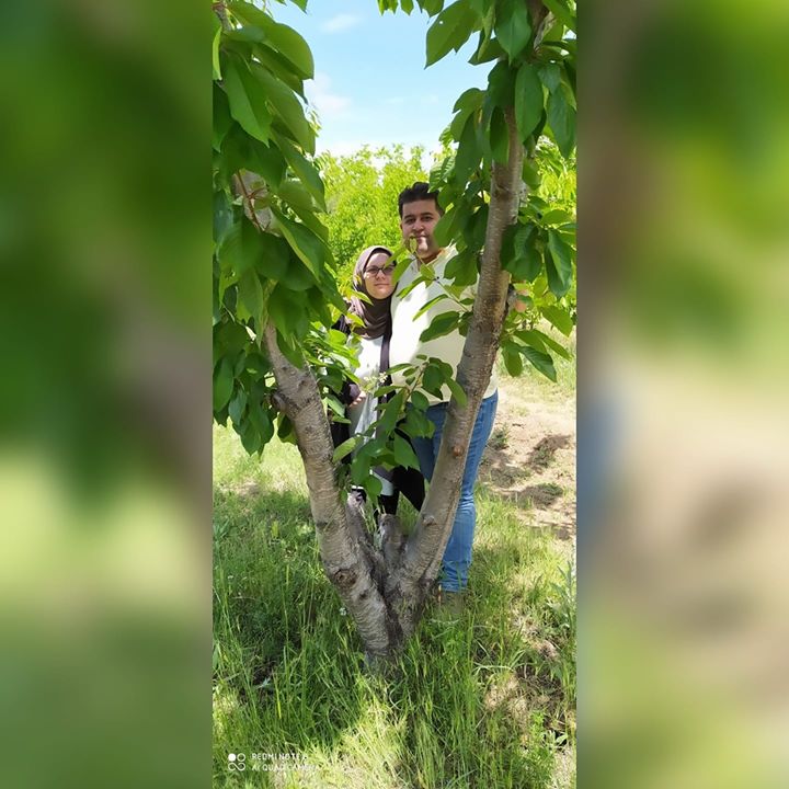 BüşrAli