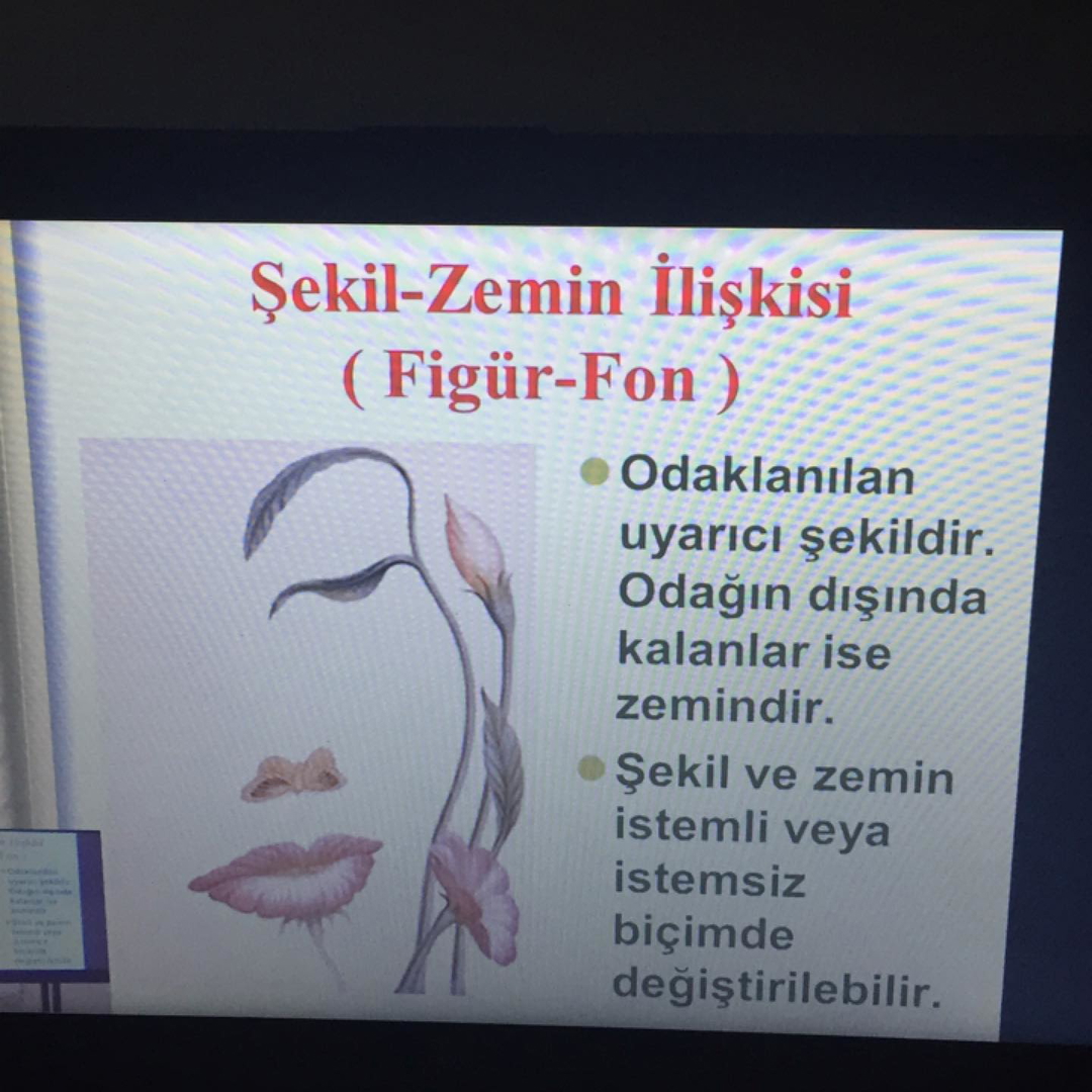 Berk