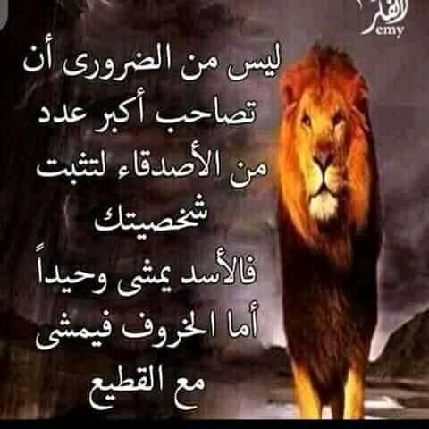 مجهول